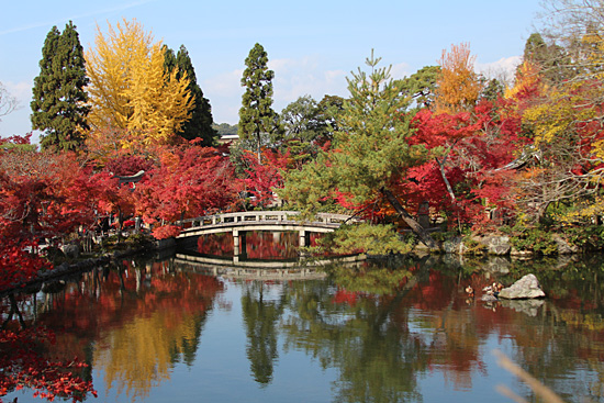 Autumn colours at Eikando Temple - Emma Reid