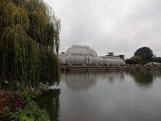 Kew Gardens - marcelinesmith
