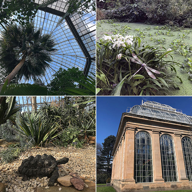 botanic gardens edinburgh