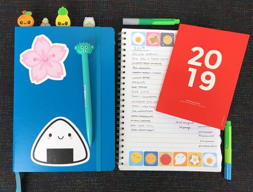 2019 diary and planners