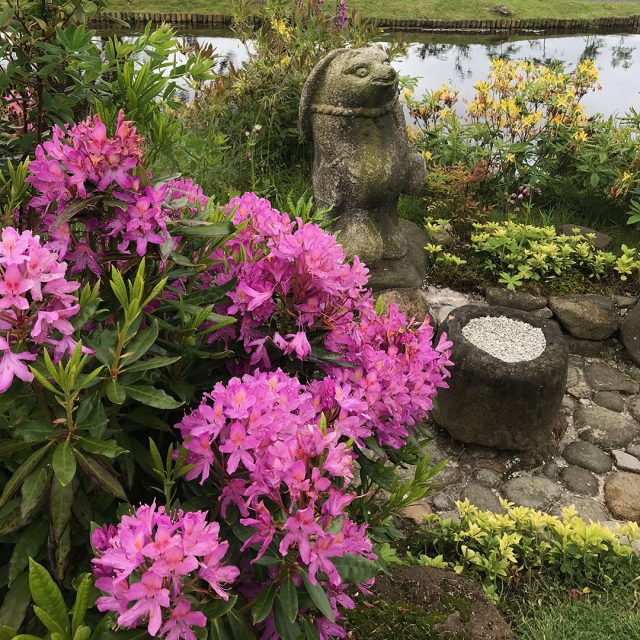 Cowden Japanese Garden