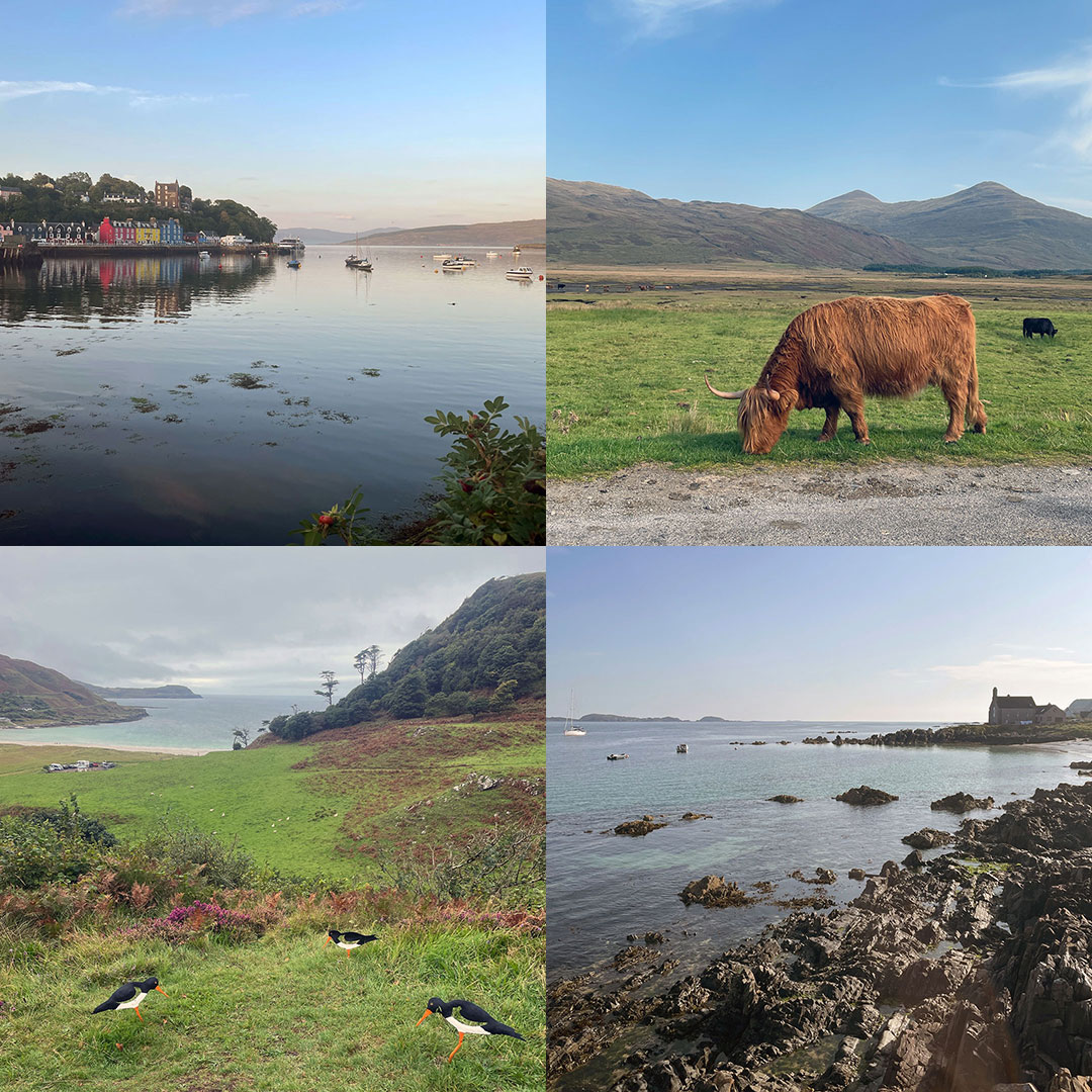 10 Photos From Mull & Iona