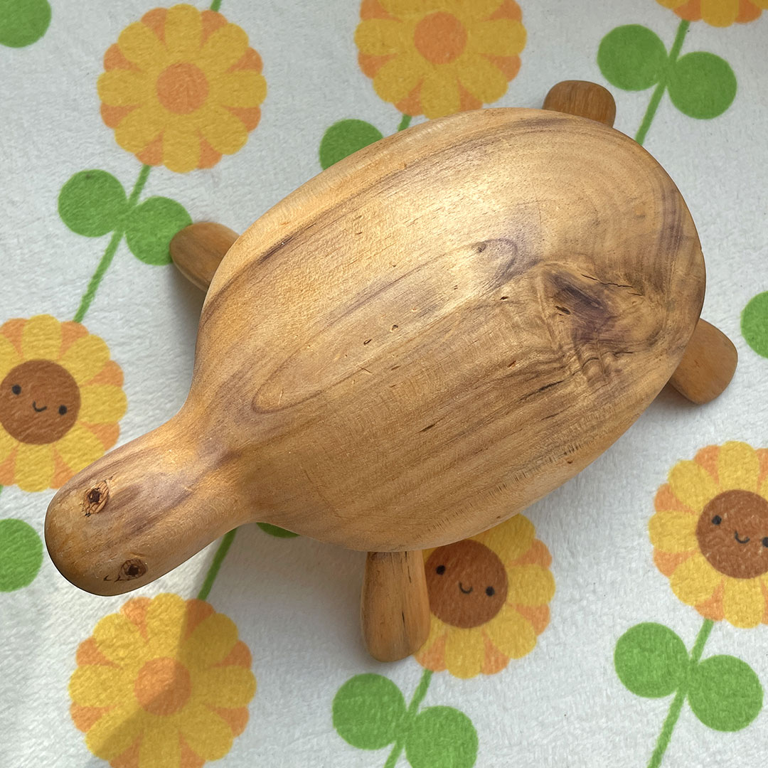 My Wooden Turtle