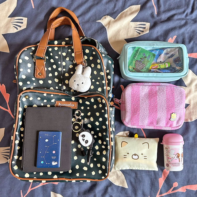 what's in my bag