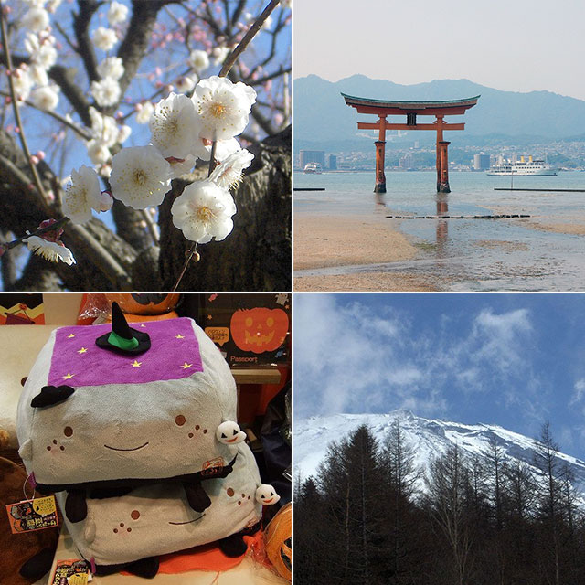 Plan Your Japan Trip: When To Go