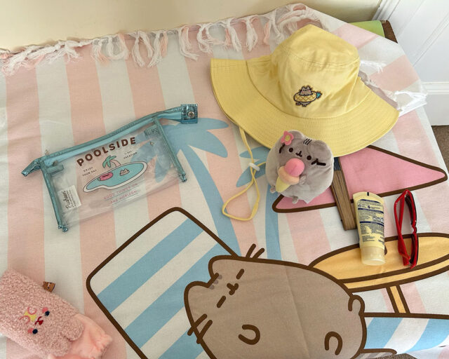 Pusheen Box